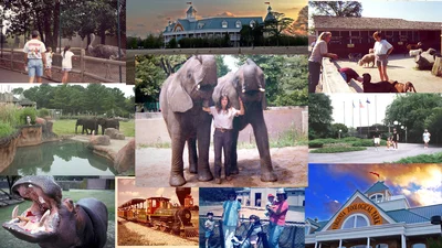 Virginia Zoo